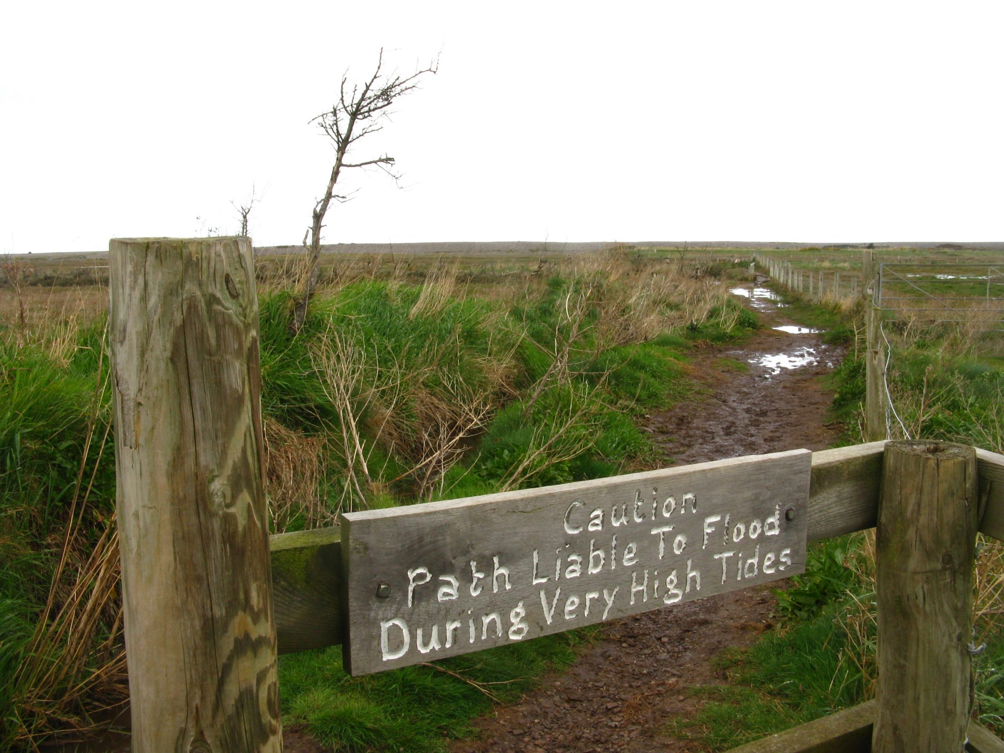 South West Coast Path: Minehead to Porlock – Luphen reborn